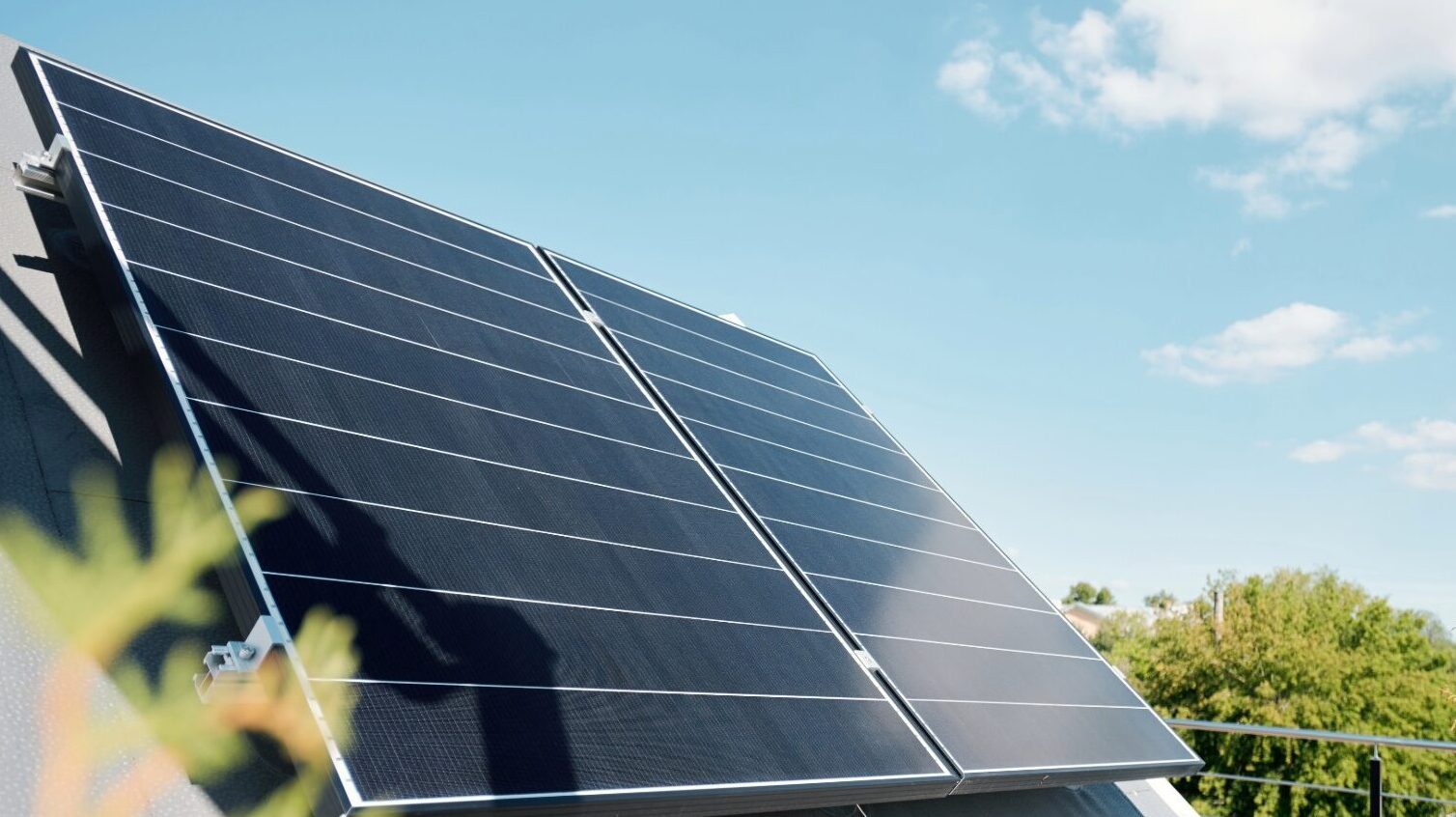 solar panels